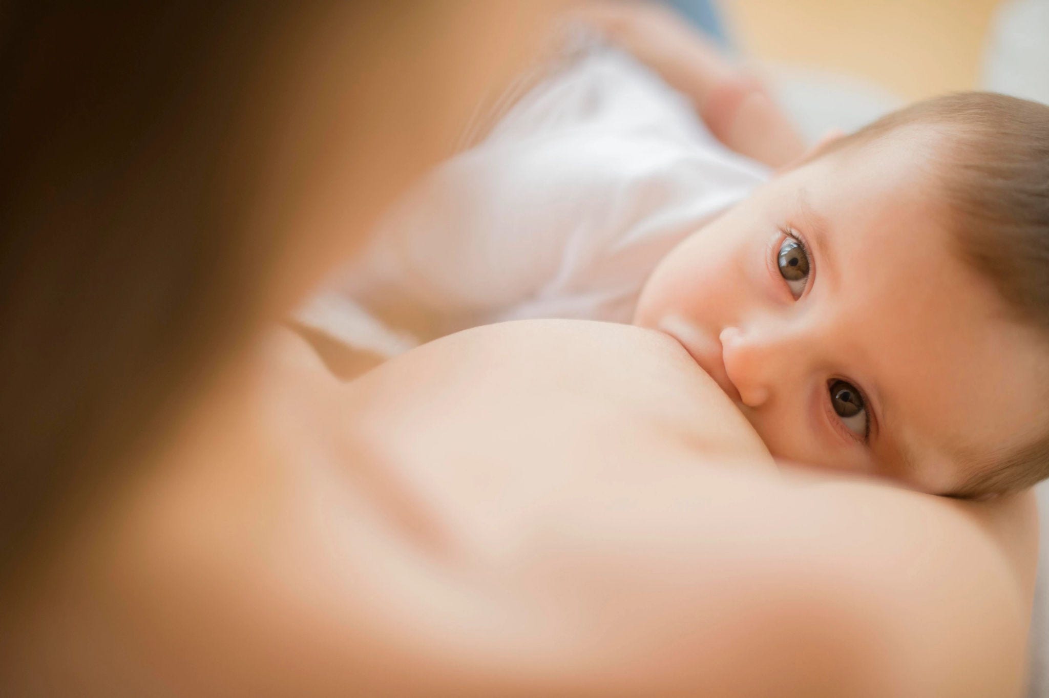 close-up-breastfeeding